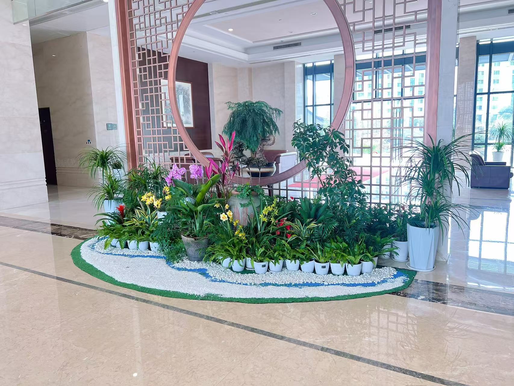 奉化植物租摆价格实惠